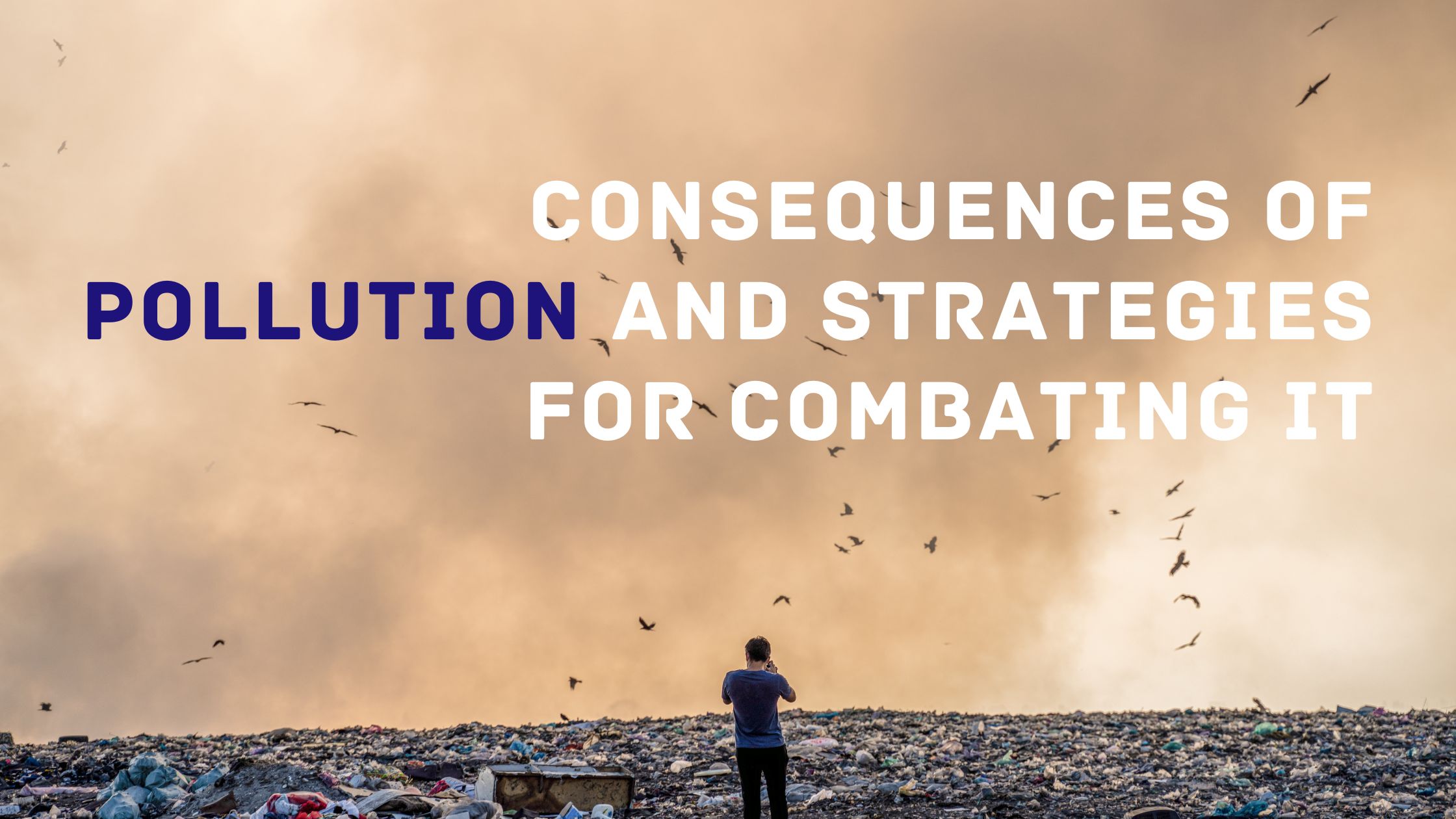 Consequences of Pollution and Strategies for Combating It