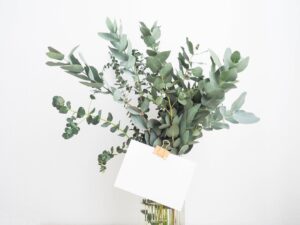 Photo Plant-based protein powders