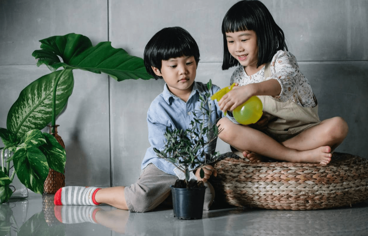 What Kills Pests Fast but Is Safe for Kids and Pets?