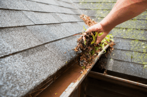 Clogged Gutters, Costly Repairs Why JR One’s Expert Gutter Cleaning Saves You More Than Just Time
