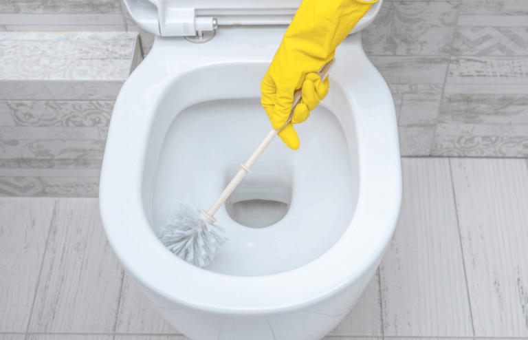 Why Every Home Needs a Reliable Toilet Tank Cleaner