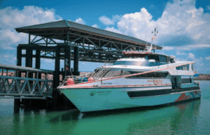 Skip the Traffic: Singapore to Desaru Ferry vs Tanah Merah Route