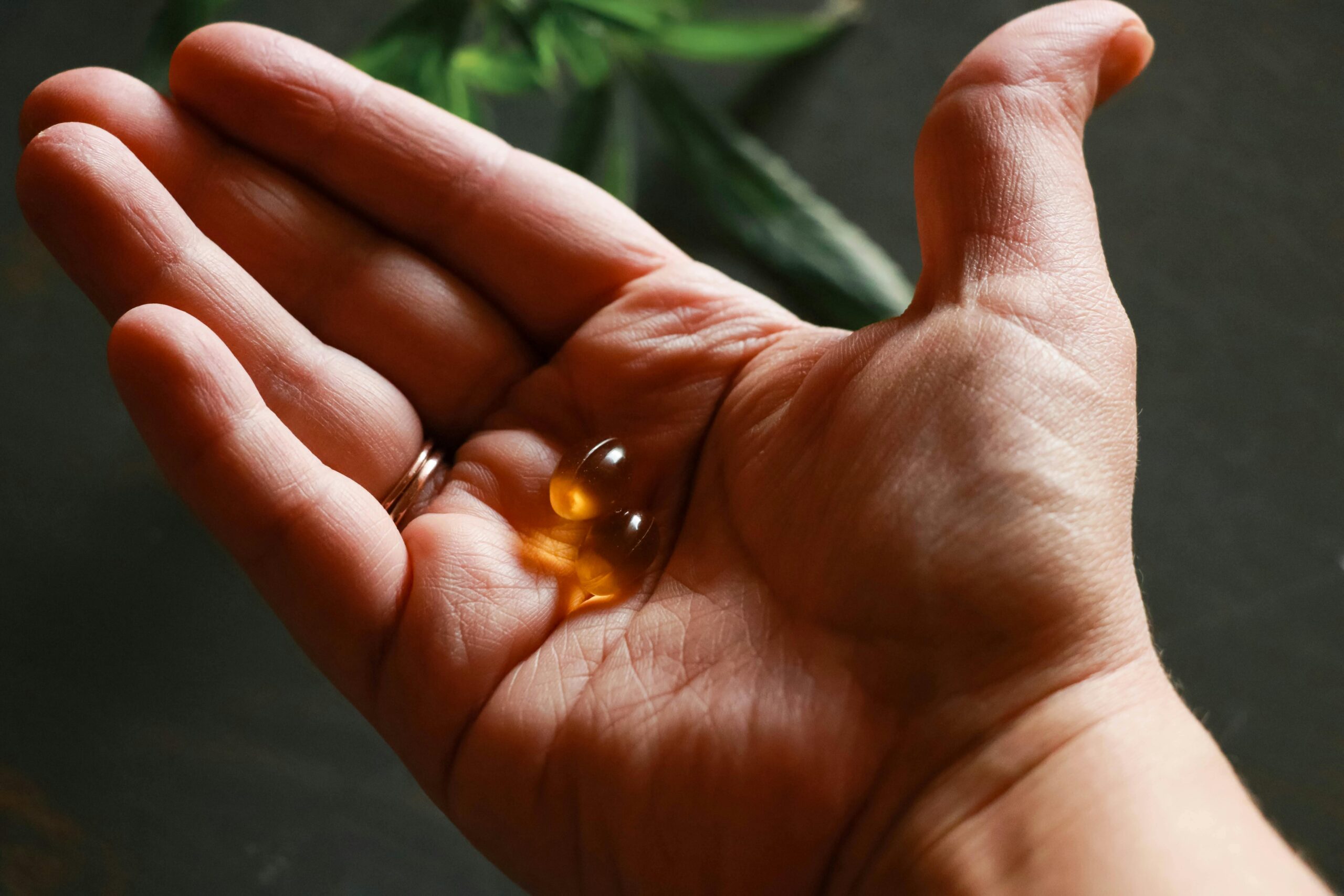 Why More People Are Switching to Plant Based Omega 3 Supplements