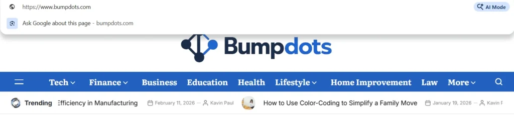 The URL of the official website of the bumpdots.com