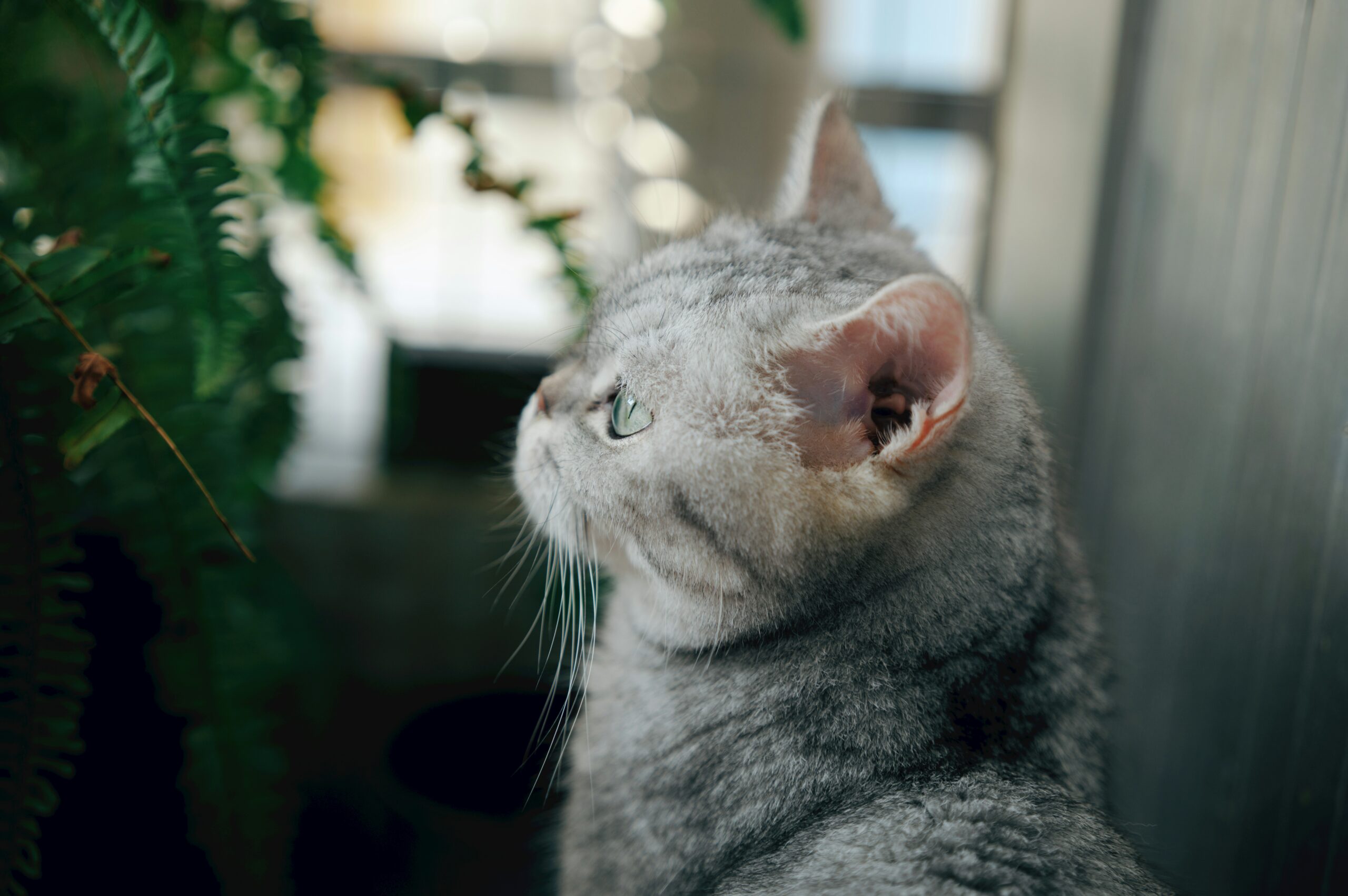 150420261776256993 scaled