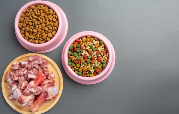 4 Differences between Wet and Dry Food for Young Pets