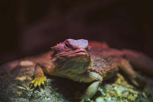 Beyond the Buzz: Decoding the Nuances of a Precision Skin Fade