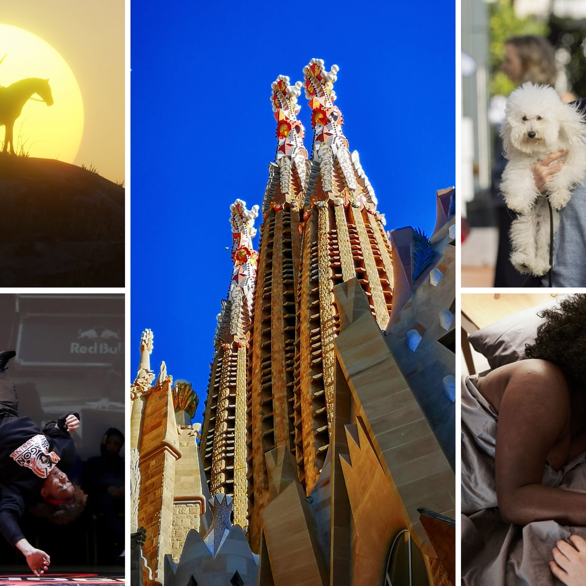 Revamp Your Vehicle with Bruce’S Automotive: Unleash the Power of Quality Car Services