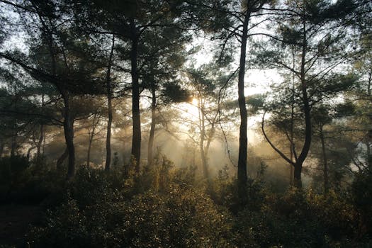 Sync Your Home to Your Body: The Power of Circadian-Congruent Lighting