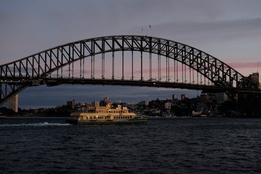 Beyond the L Plate: Why OT Driving Assessments in Sydney are Your Secret Weapon for Road Re-Entry