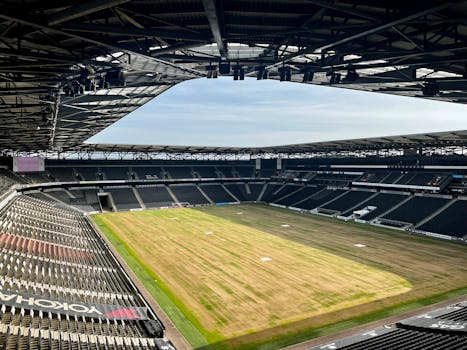 Beyond the Roar: What Truly Makes Packed Stadiums Electrifying?
