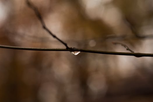 Navigating the Murky Waters: What Does High Humidity Really Mean for Us?