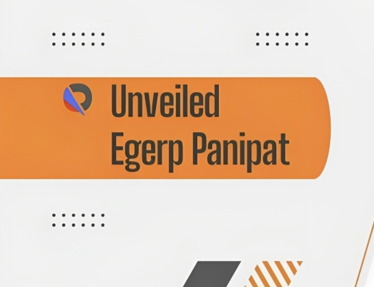 Features of EGERP Panipat in Software Programs