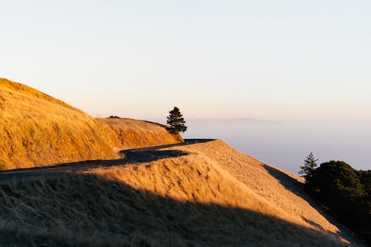 Embarking on California’s Coastal Masterpiece: Your Guide to Unforgettable PCH Road Trips