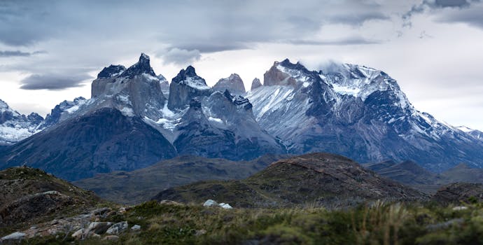 Patagonia’s Untamed Canvas: A Deeper Dive into Trekking and Wildlife Encounters