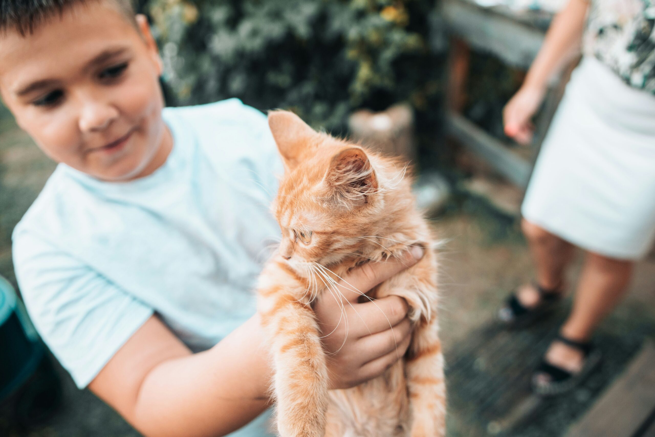 Choosing the Right Pet: Adoption vs. Purchase