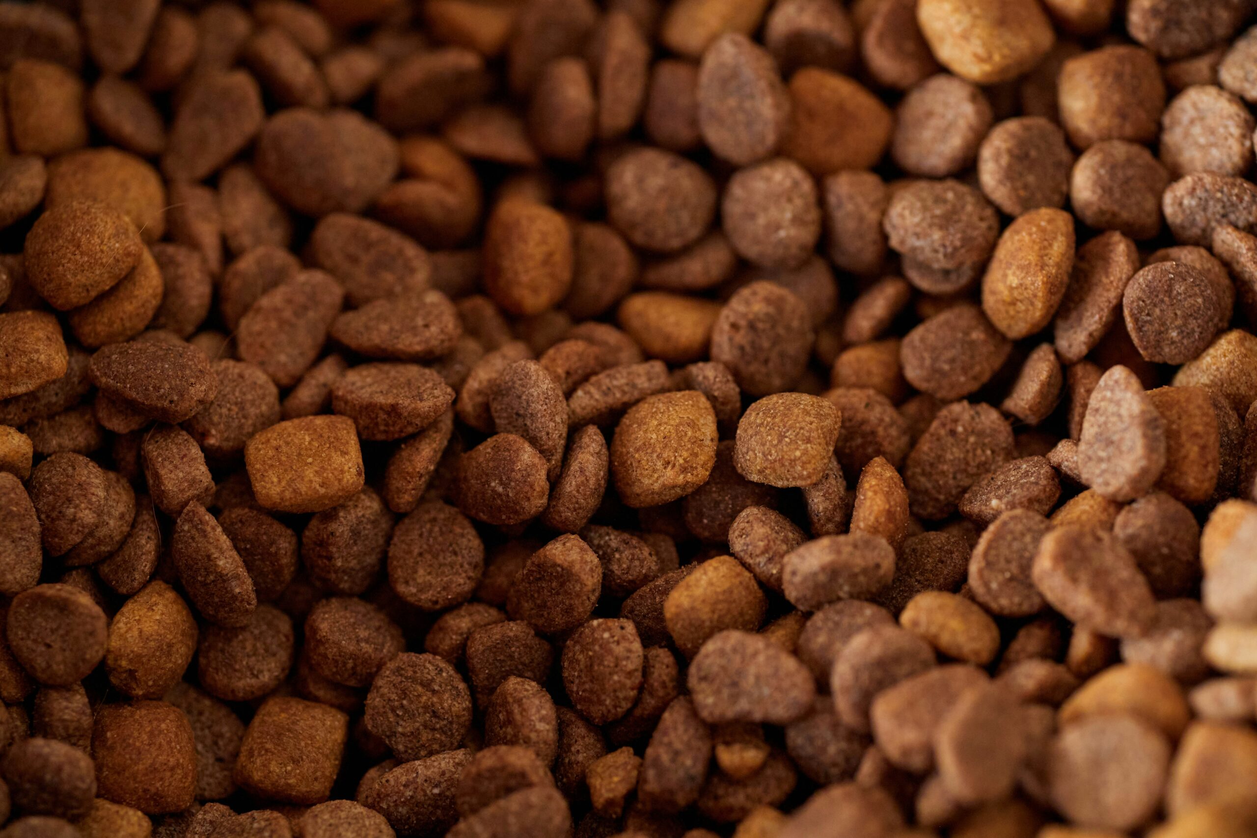 Is Your Pet Getting Proper Nutrition? Look for These Signs