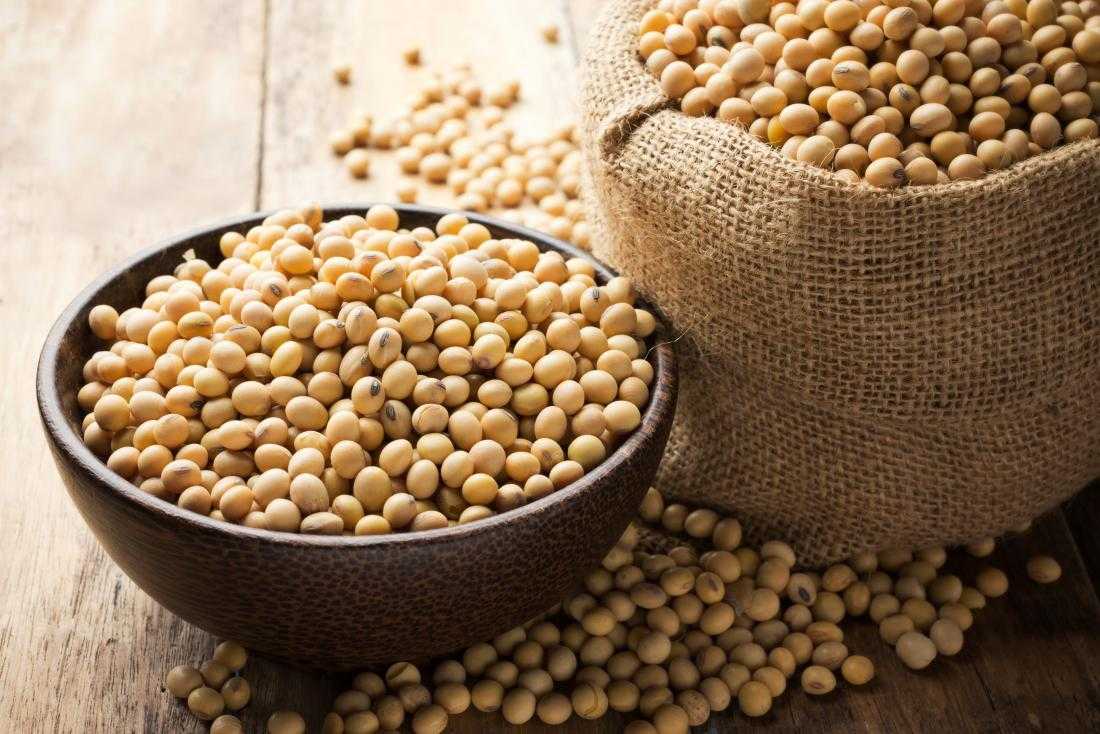 Essential Things to Consider in Buying From a Soybean Manufacturer