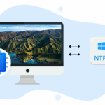 Fall in love with the game of fantasy cricket